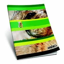 Cuaderno América tapa flexible 48 hojas Liso