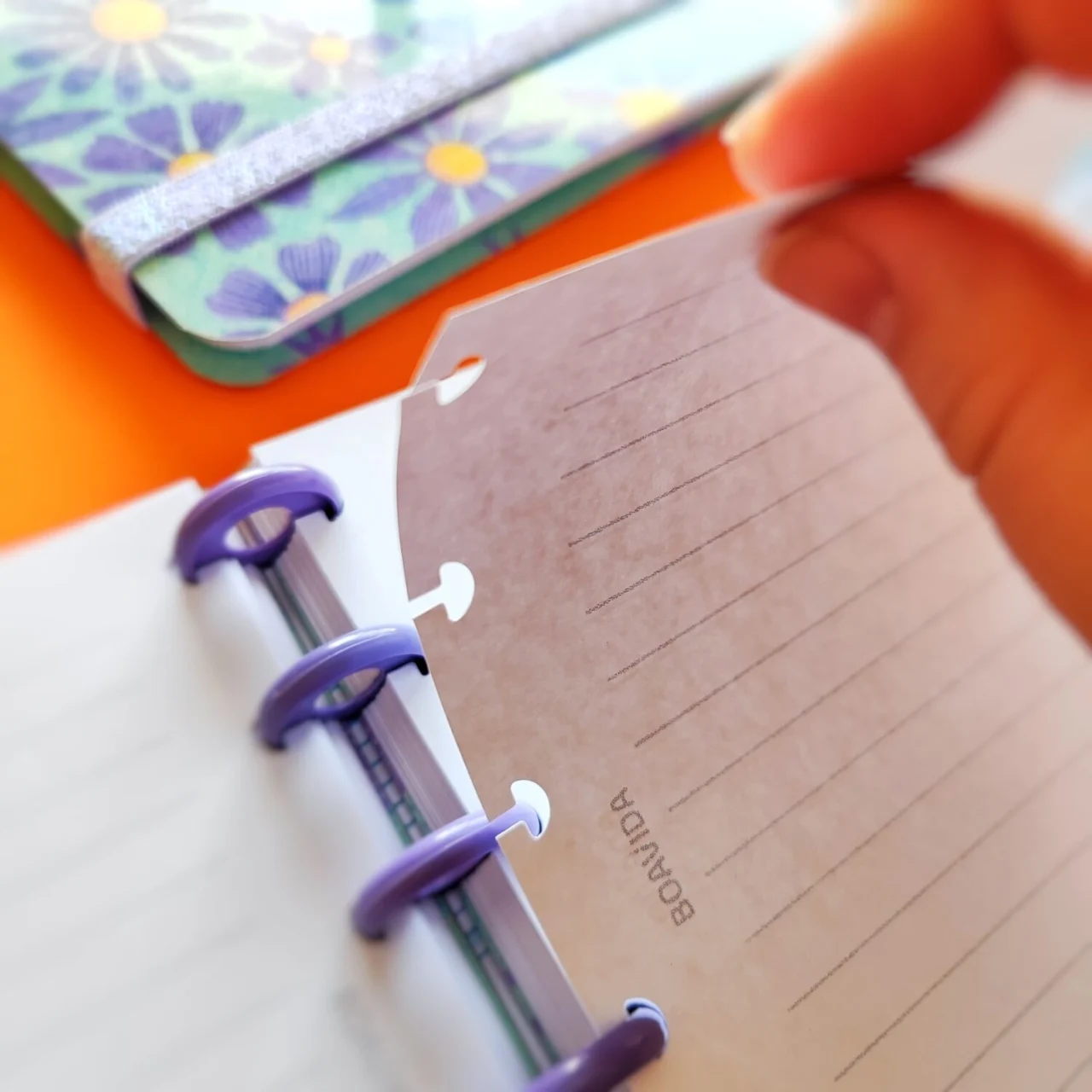 Cuaderno Con Discos A6 - Jardín de Violetas