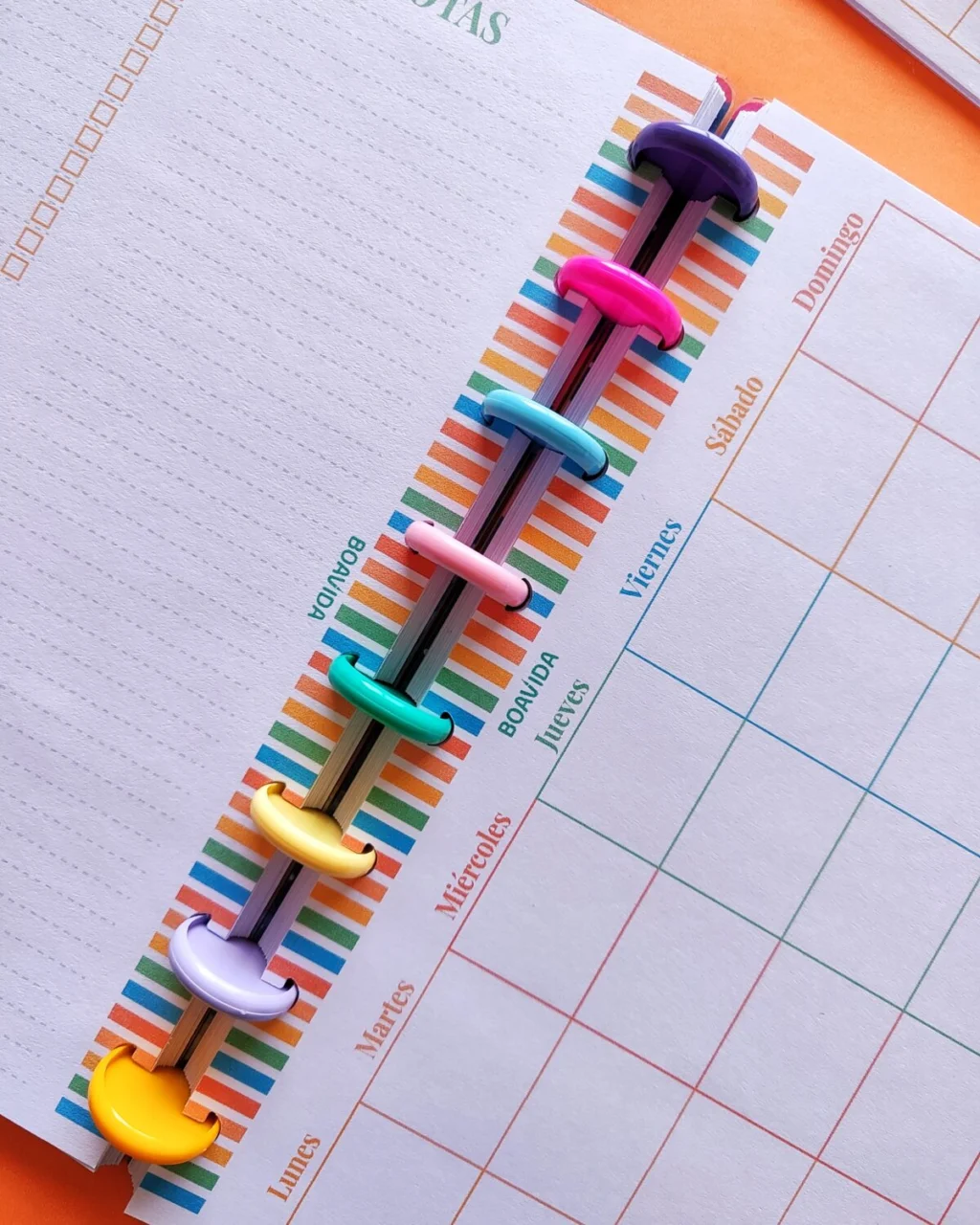 Planner Mensual A5 - "Arcoiris"