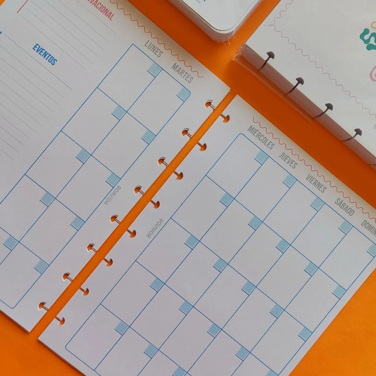 Repuesto para discos A5 - Agenda Semanal - Anual