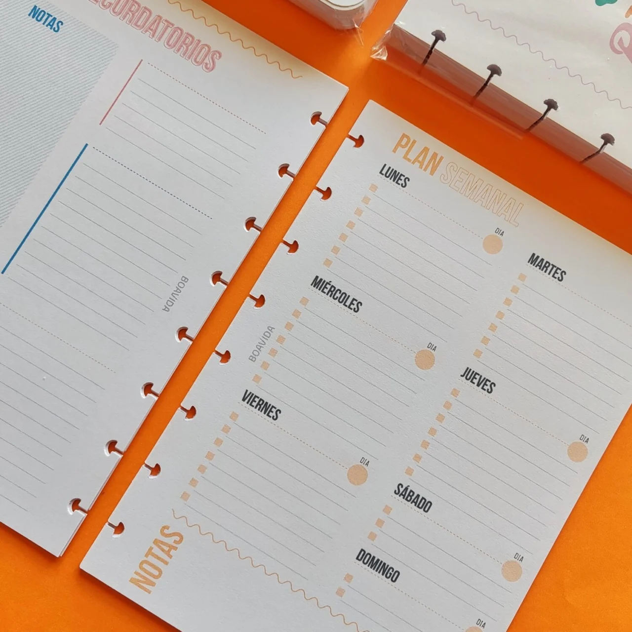 Repuesto para discos A5 - Agenda Semanal - Anual